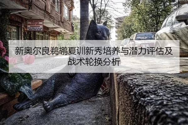 新奥尔良鹈鹕夏训新秀培养与潜力评估及战术轮换分析