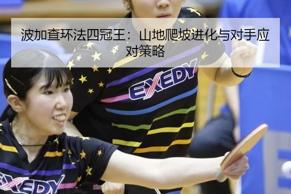 bo-jia-cha-huan-fa-si-guan-wang-shan-di-pa-po-jin-hua-yu-dui-shou-ying-dui-ce-lve-3-685.jpg
